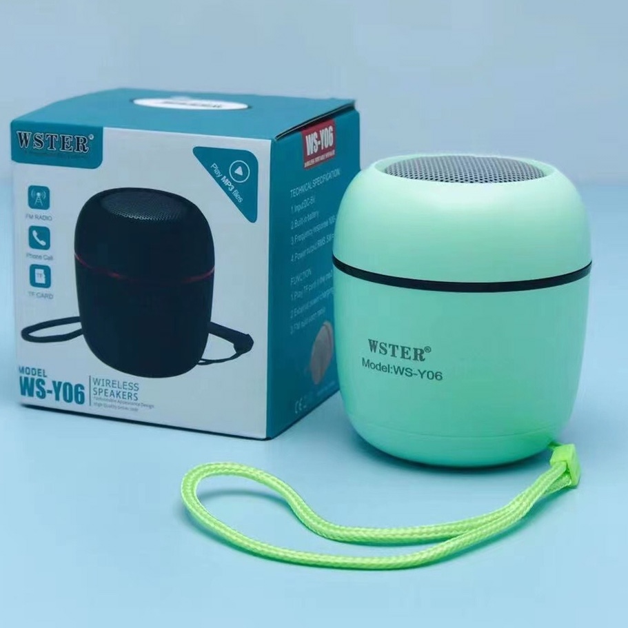 WS-y06
