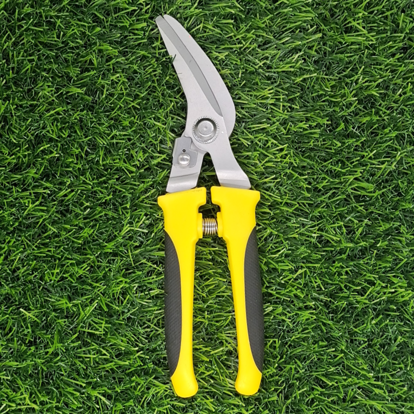 310