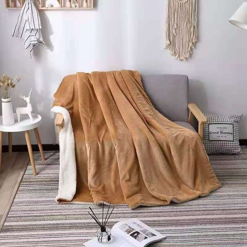 Double Blanket Lamb Flannel details Picture