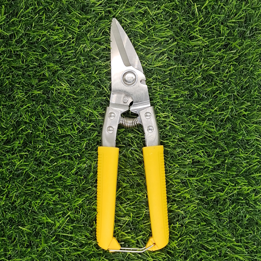 314