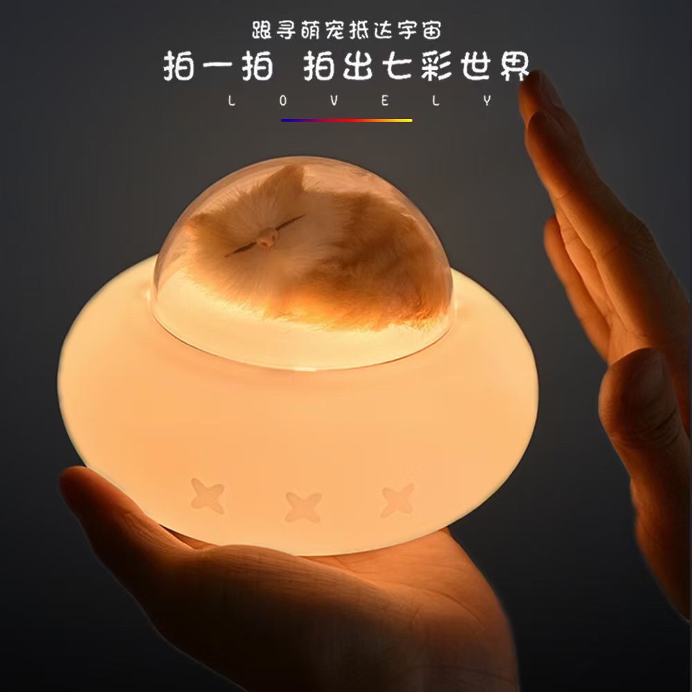 The Shenzhou spacecraft lights up