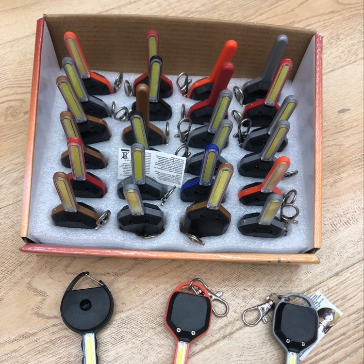 Key light details Picture