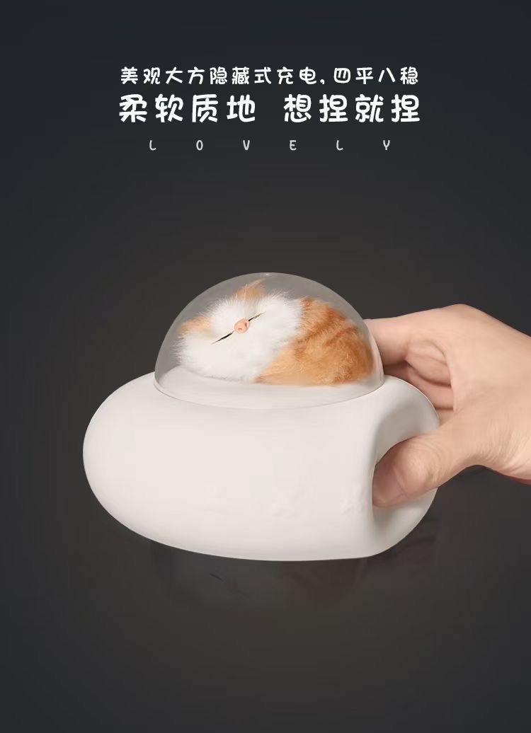 The Shenzhou spacecraft lights up Item Picture