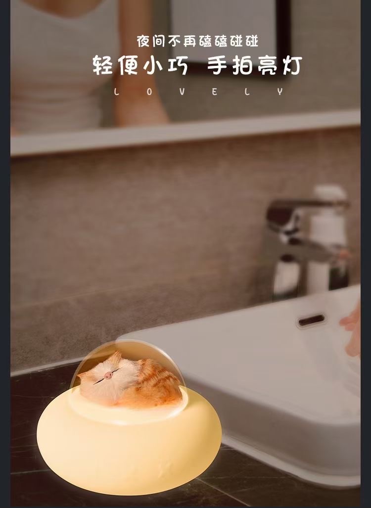 The Shenzhou spacecraft lights up Application Scenario