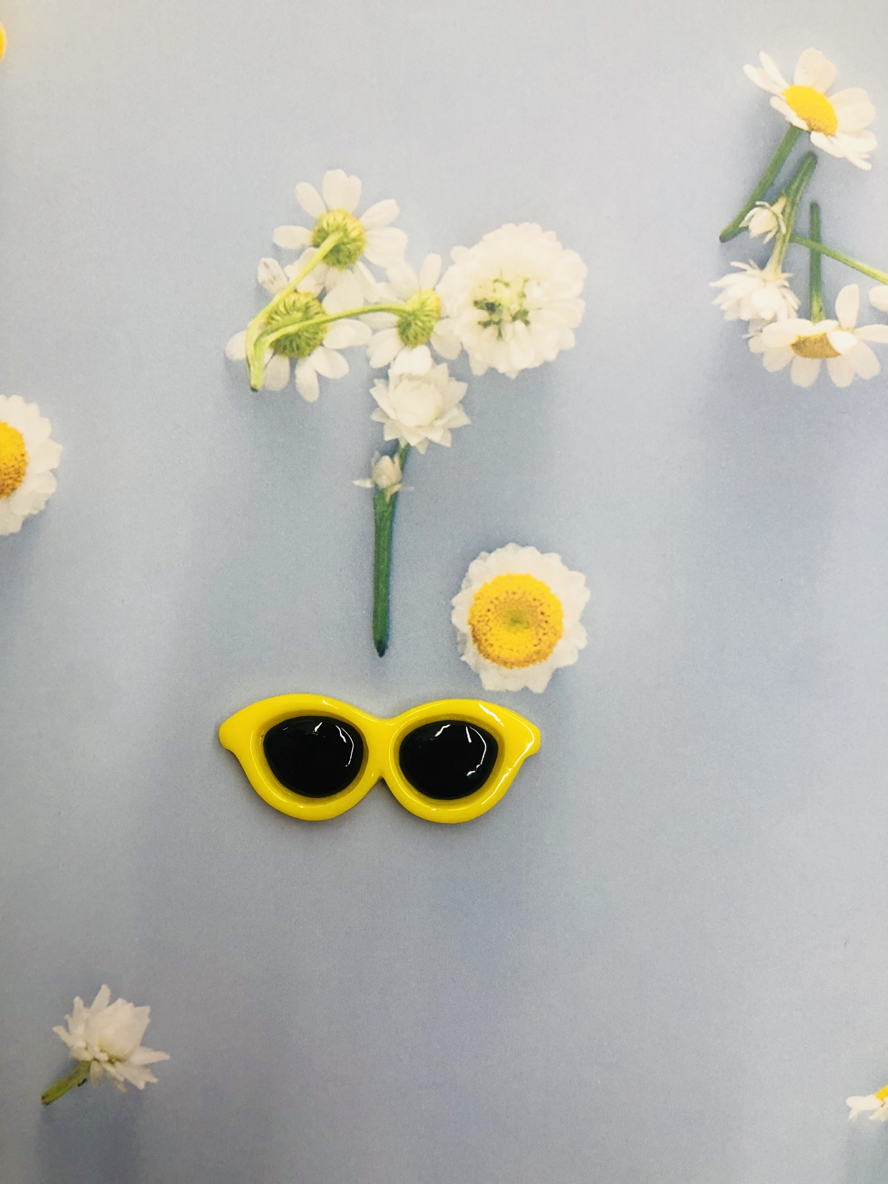 Round Resin Glasses details Picture