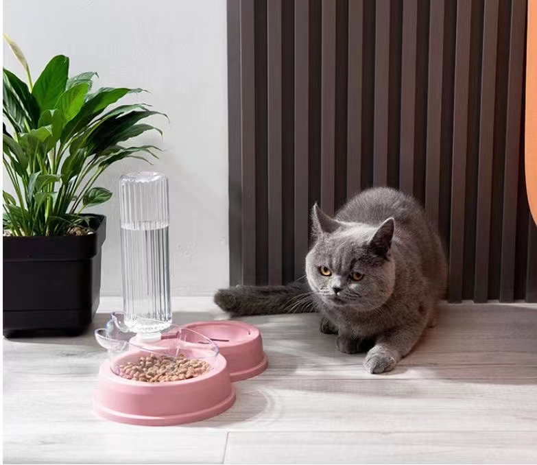 宠物用品，新款小熊萌萌哒宠物碗带自动饮水瓶！详情5