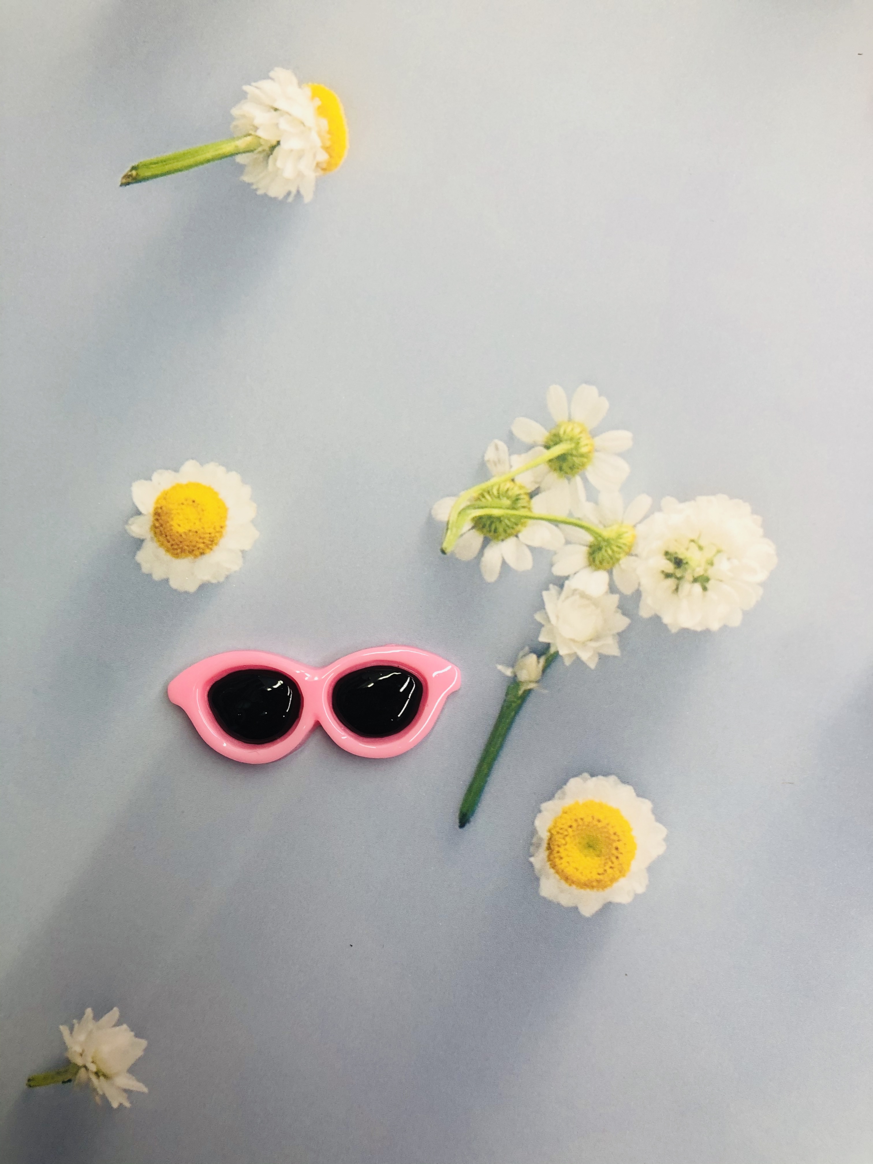 Round Resin Glasses Item Picture