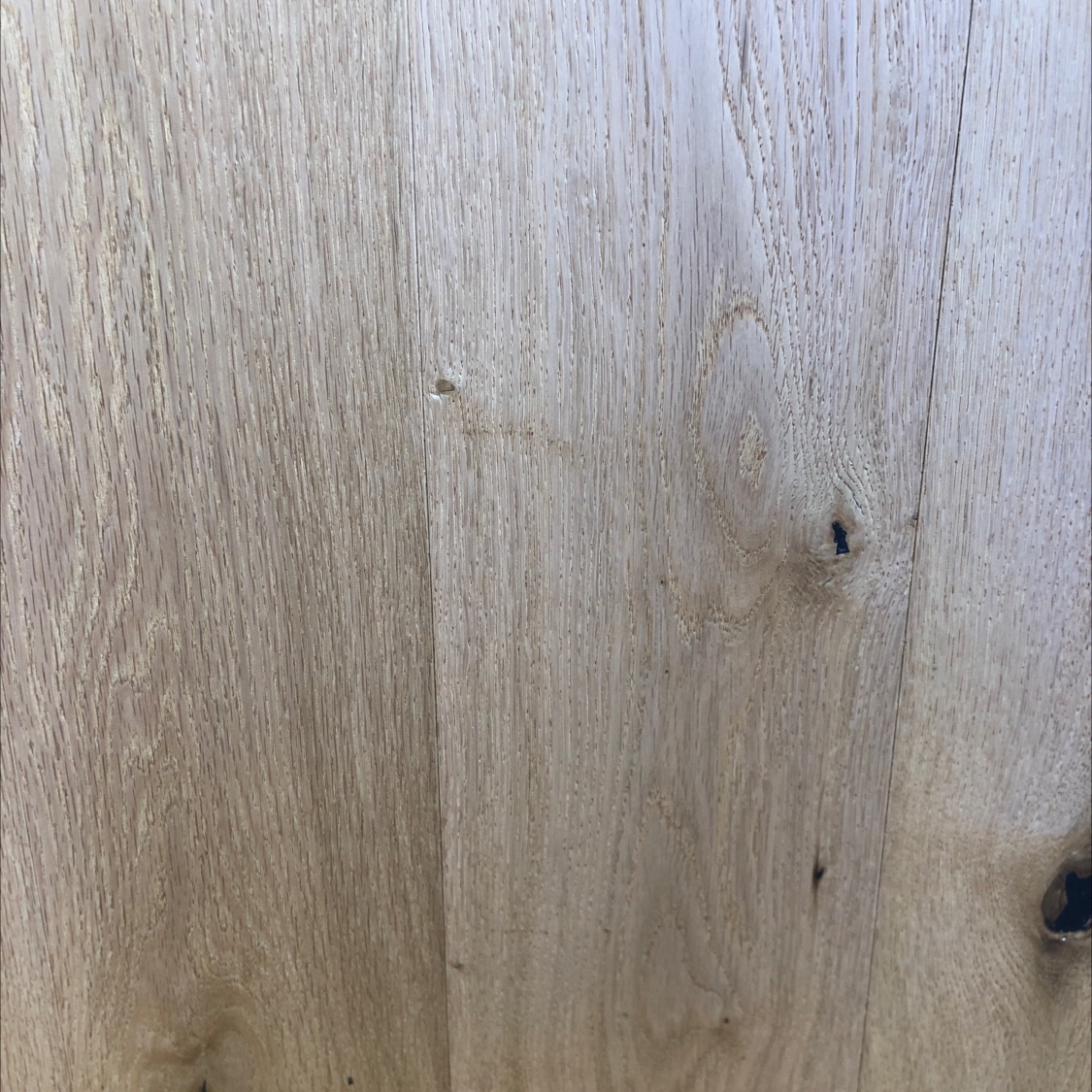 الهدوء في جبل موغان يصل إلى 03 detail image 2