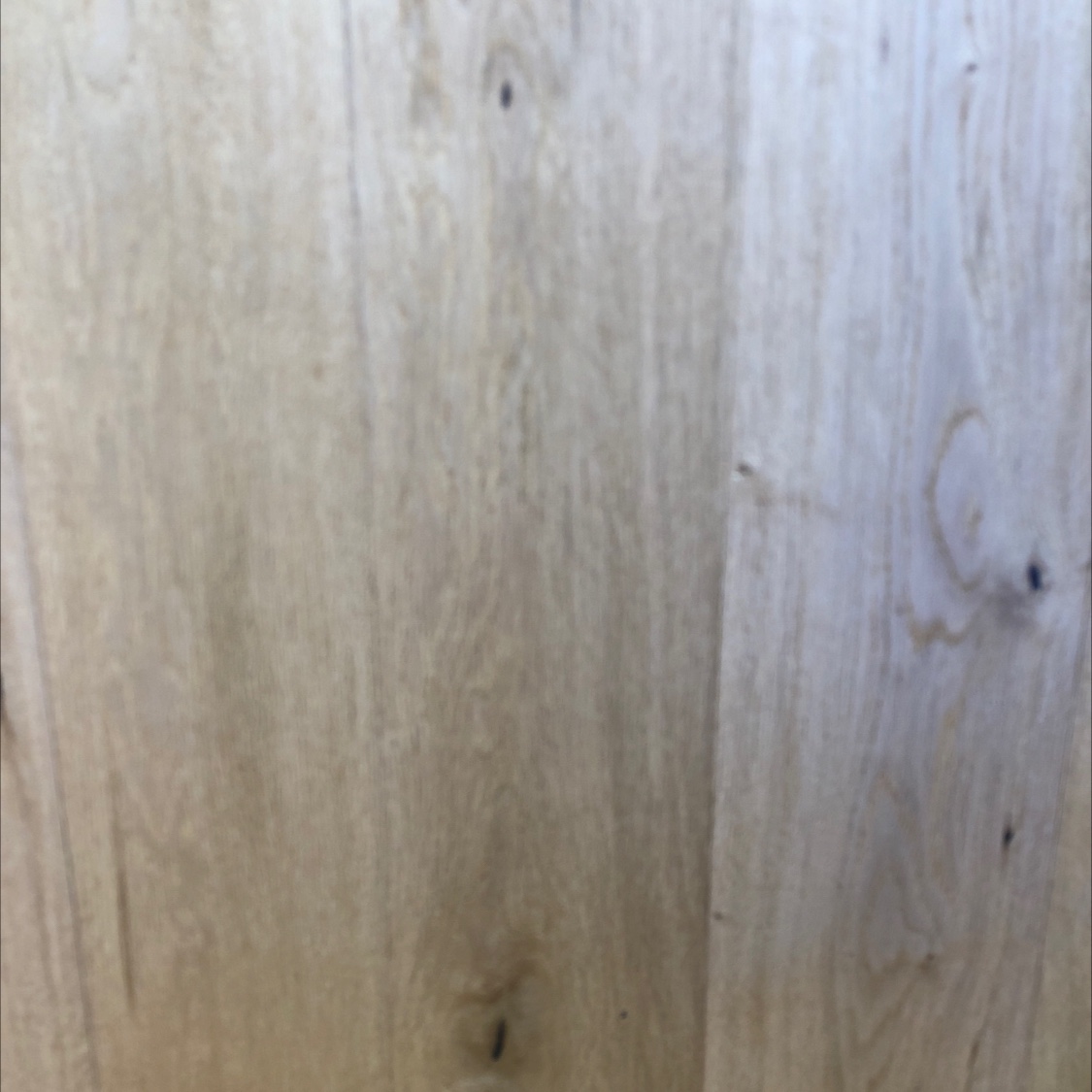 الهدوء في جبل موغان يصل إلى 03 detail image 1