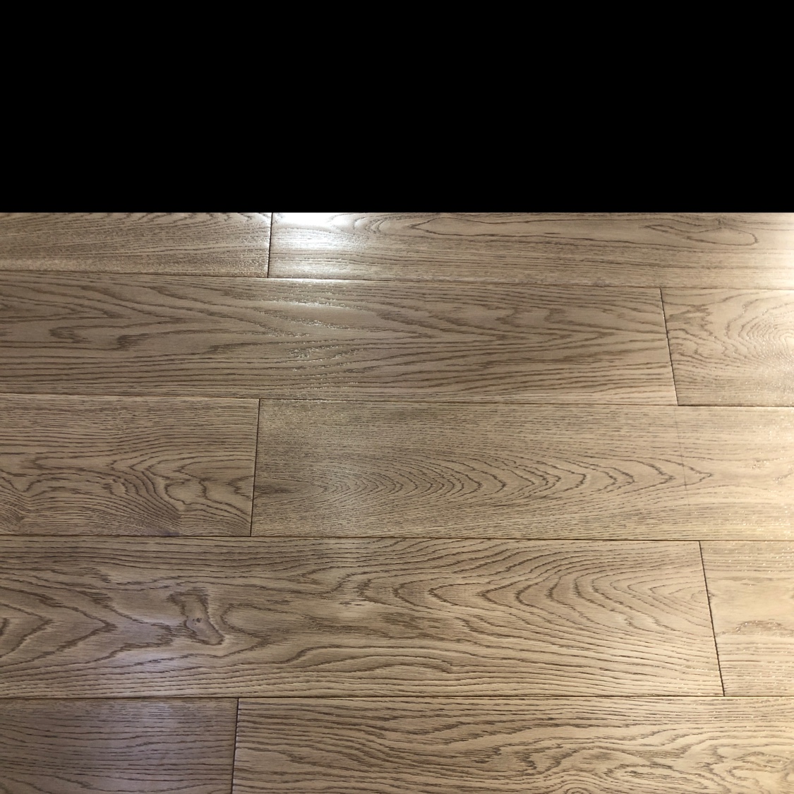 السنالسنديان الأبيض من الجبال detail image 1