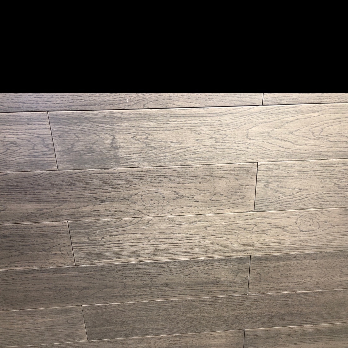موجاياسان من المحيط الجنوبي 03 detail image 2