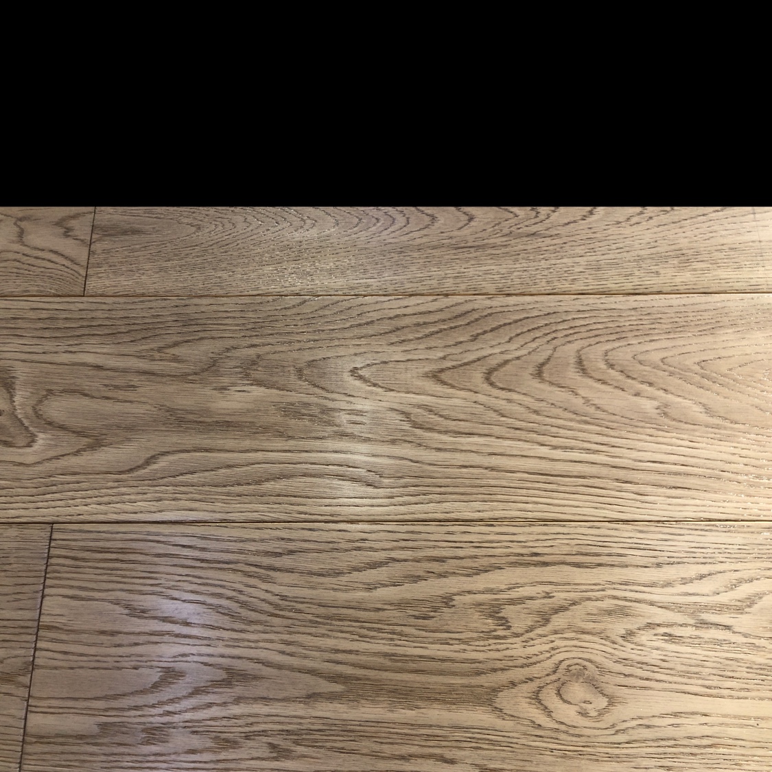 السنالسنديان الأبيض من الجبال detail image 2