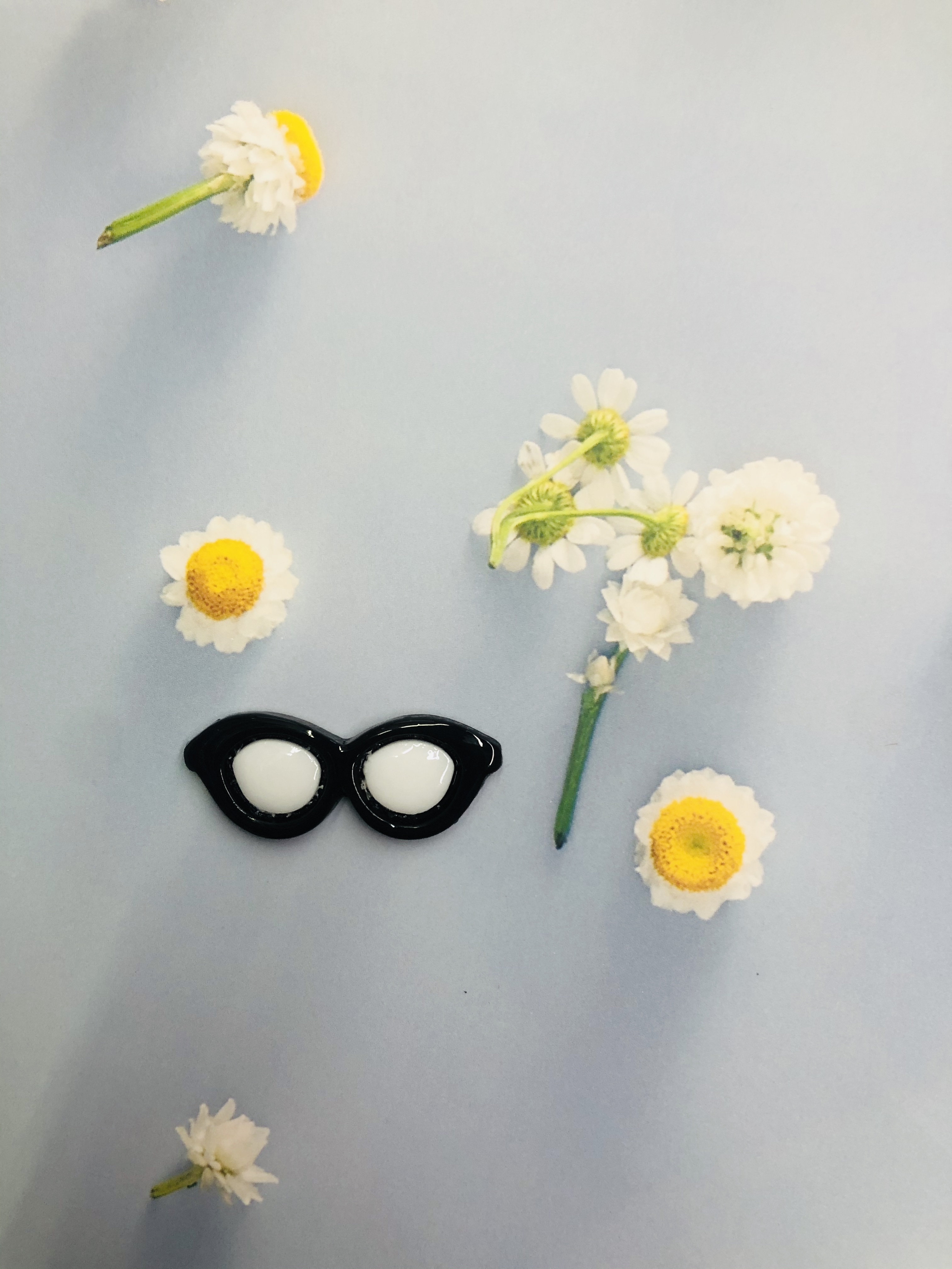 Round Resin Glasses undefined
