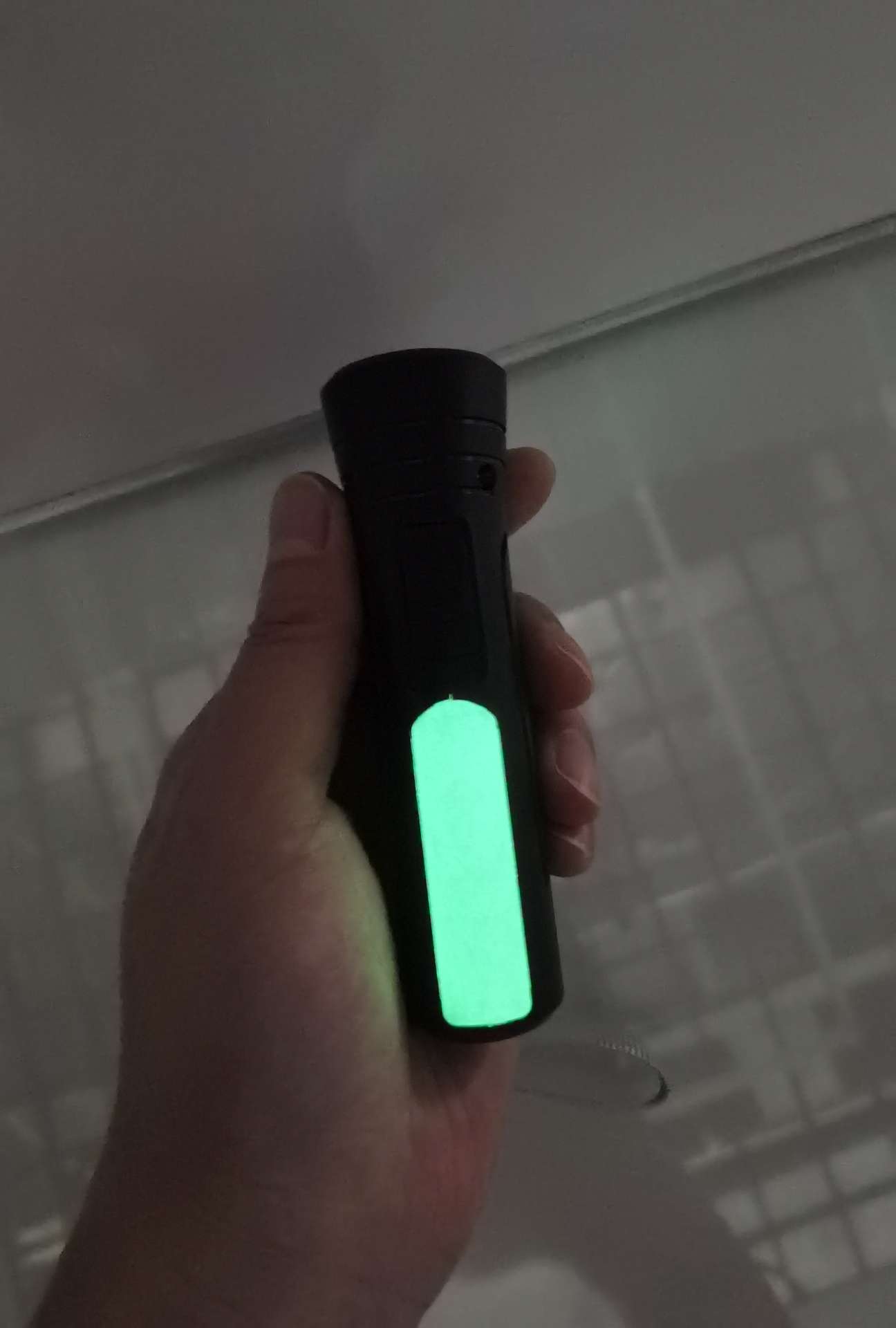 Glow-In-The-Dark Flashlight Item Picture