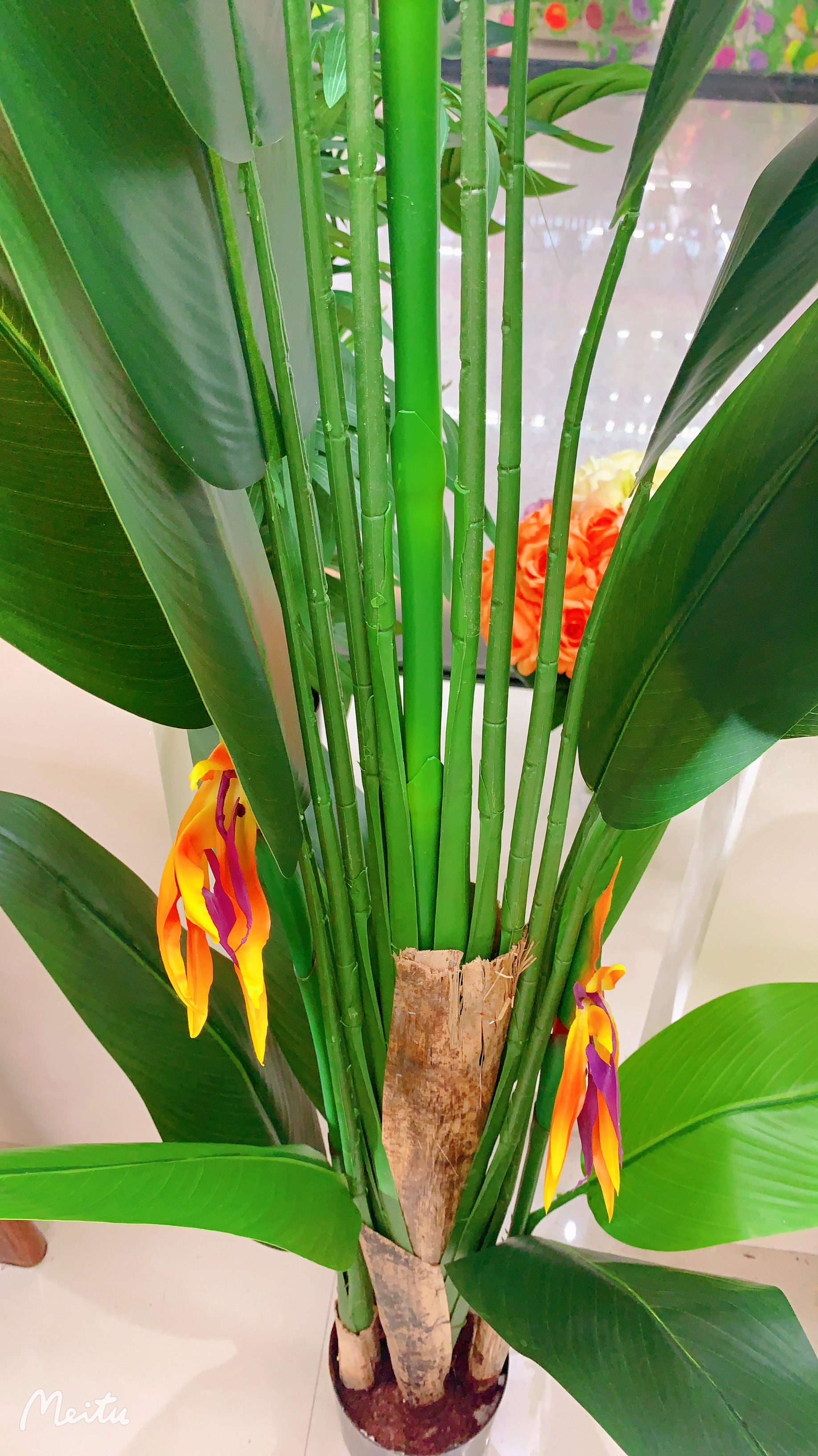 Simulation tree detail image 1