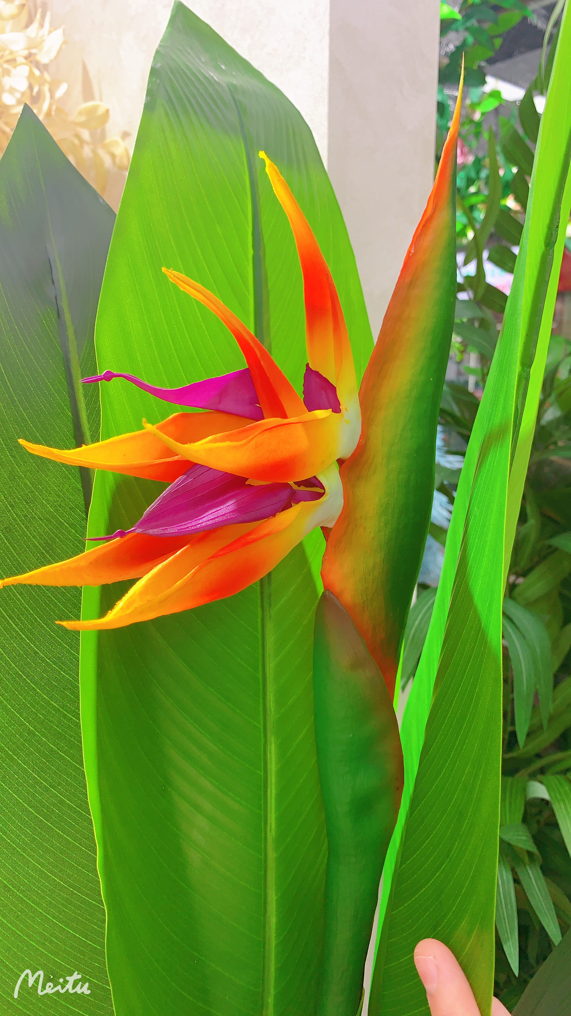 Simulation tree detail image 2