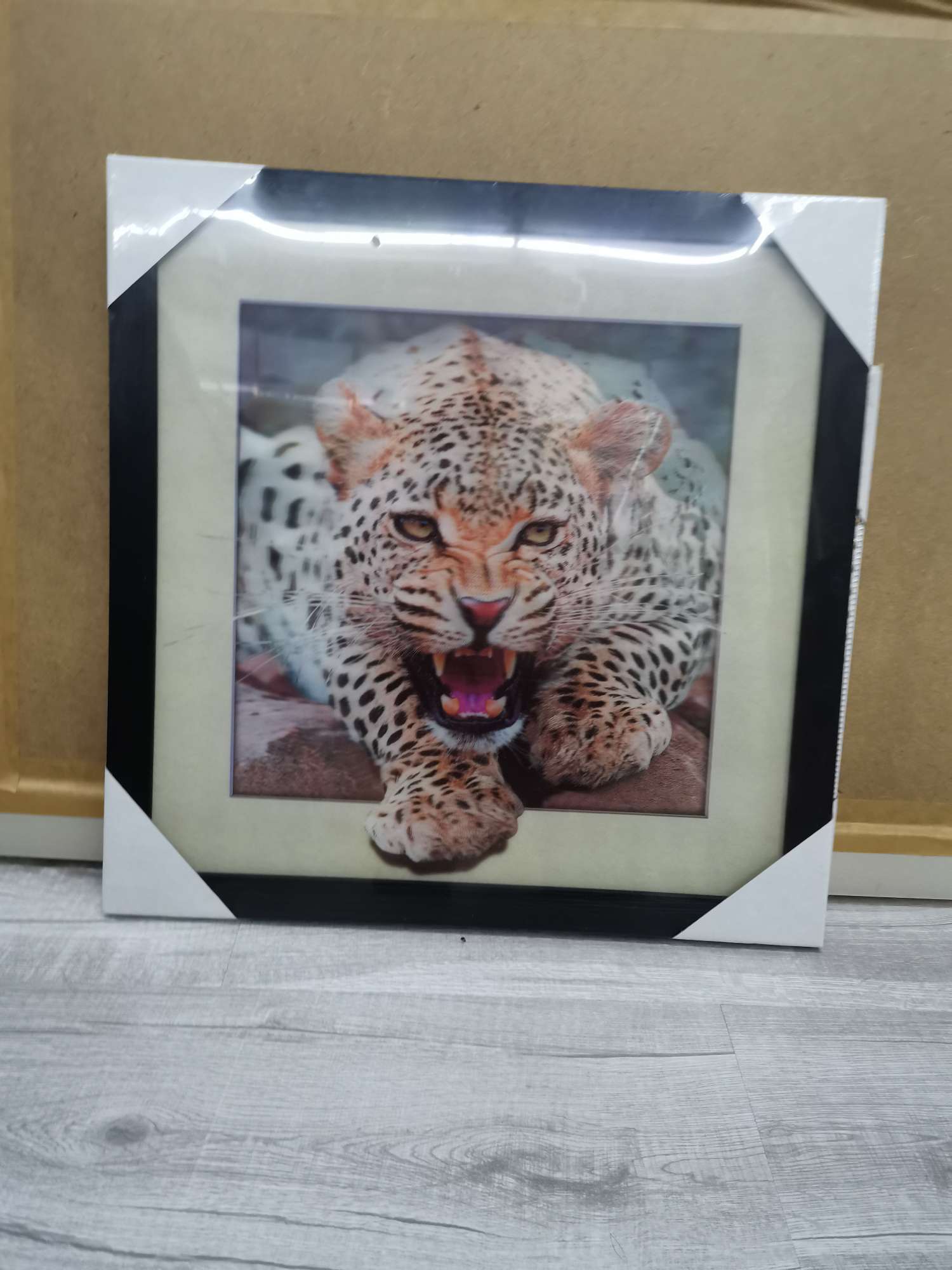 5D三维立体装装饰画，画片清透，立体效果强详情5