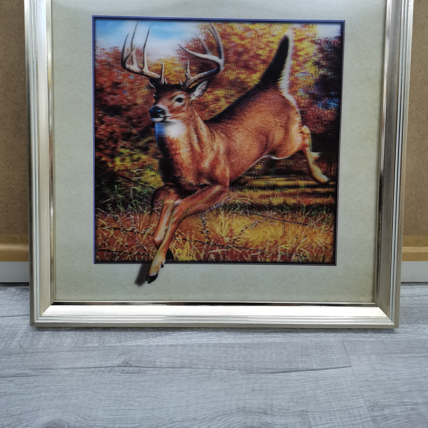 5D三维立体装装饰画，画片清透，立体效果强详情6