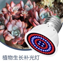 Cross-border led Plant Growth Light Red Blue Spectrum Plant Light Cup 48 beads 60 beads 80 beads succulent flower Plant Light e2748 beads