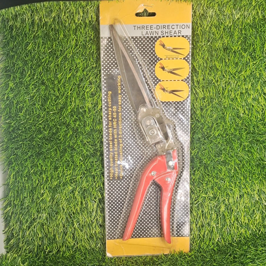 101