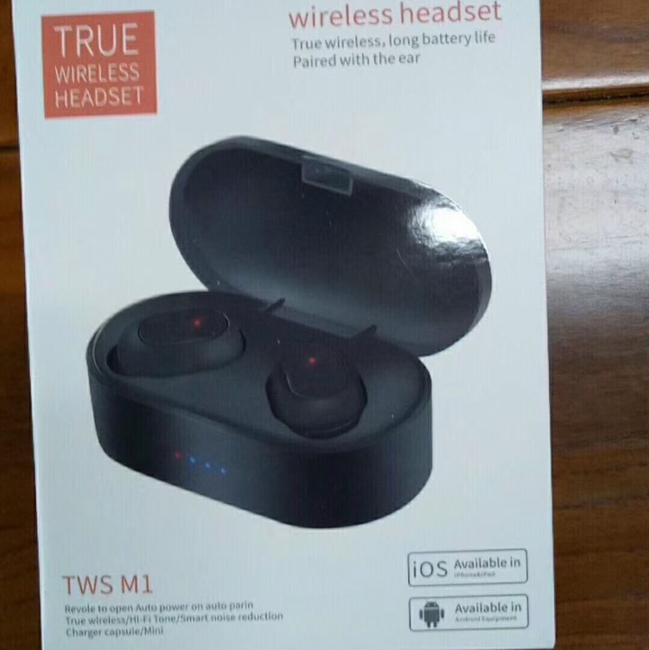 T-M1