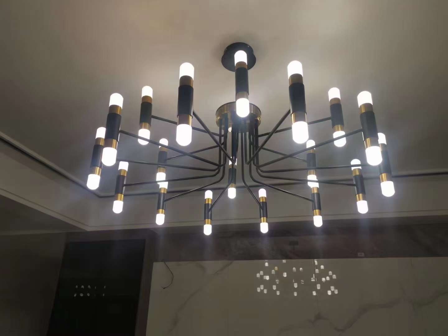 LED acrylic living and dining room light details Picture