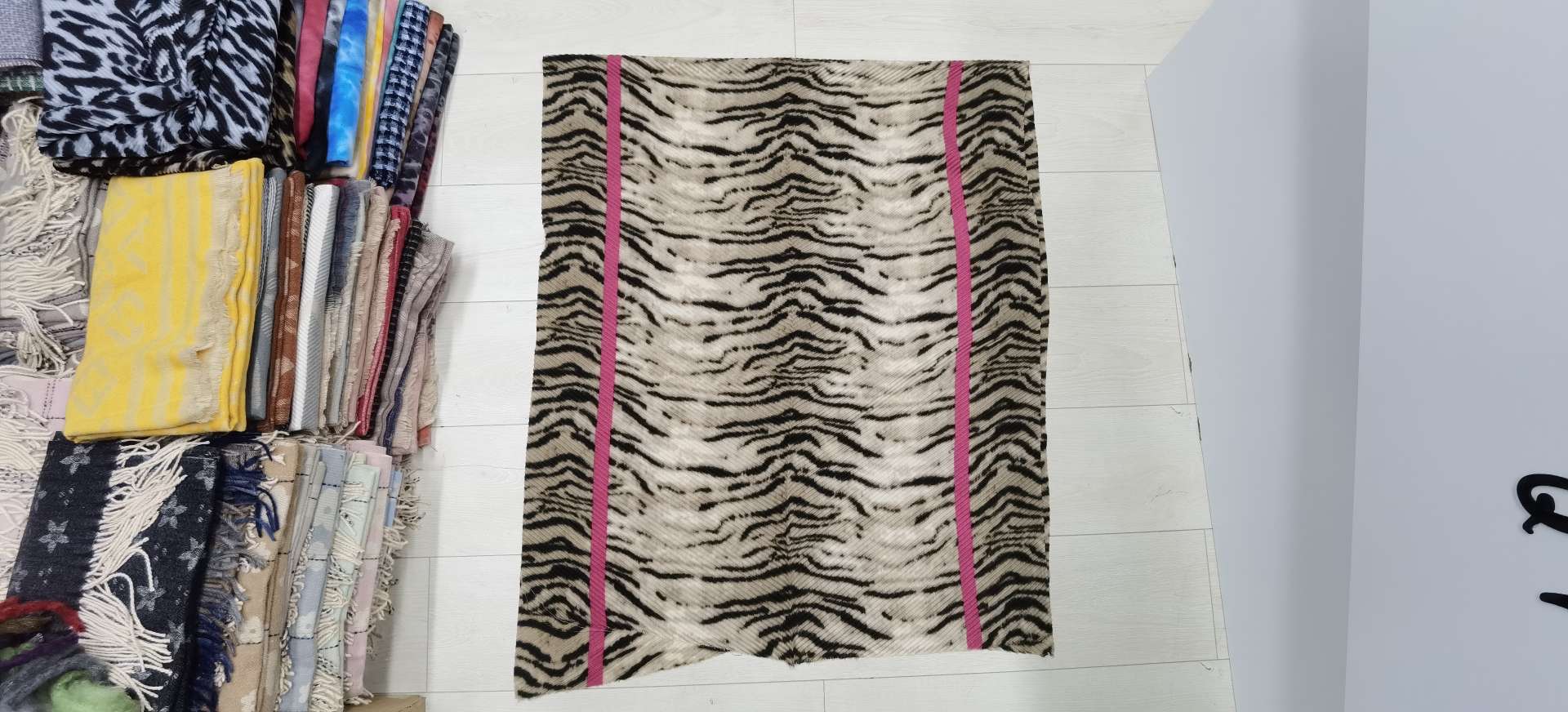 Zebra Wrinkles details Picture