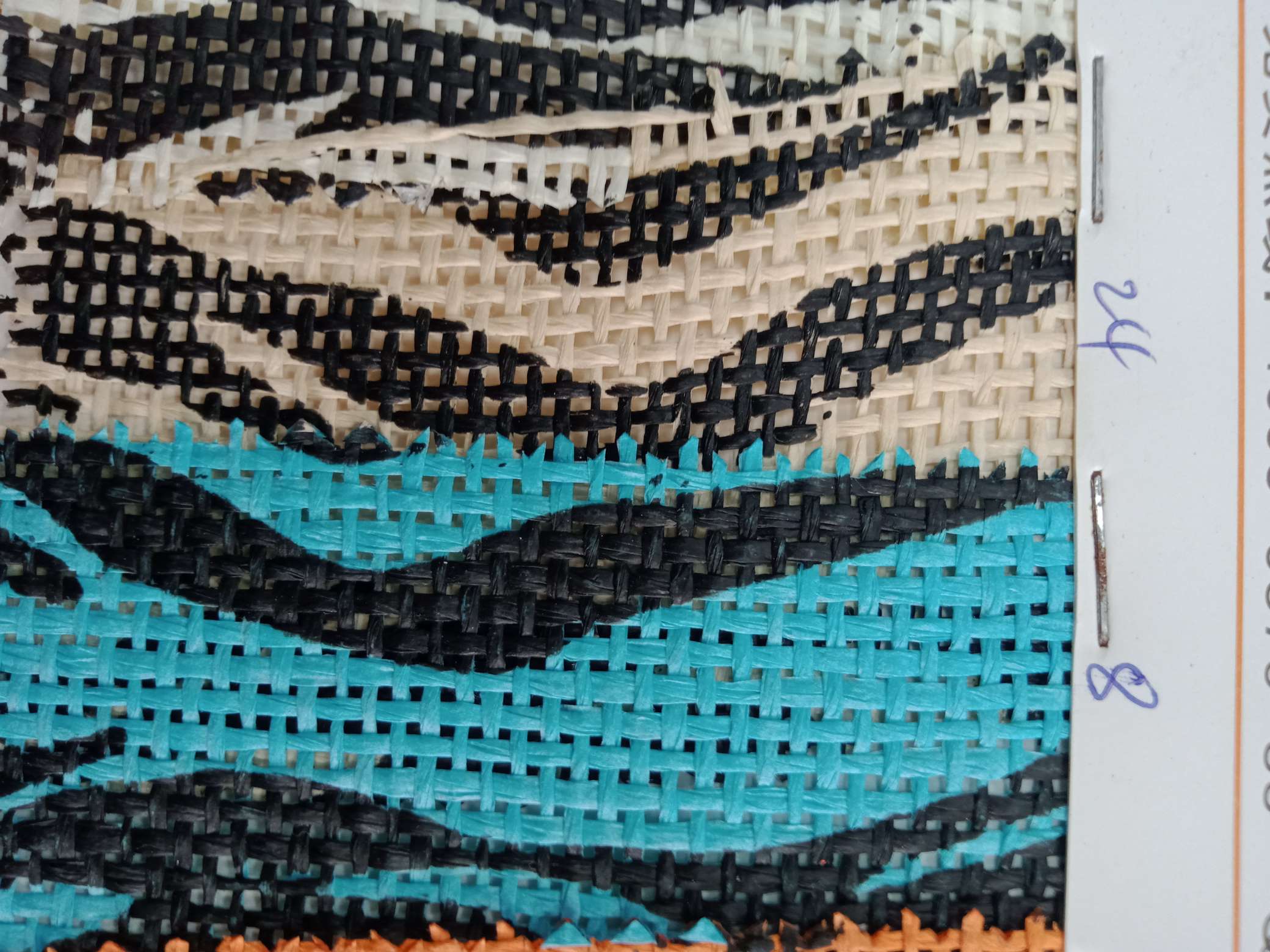 斑马纹草产品图