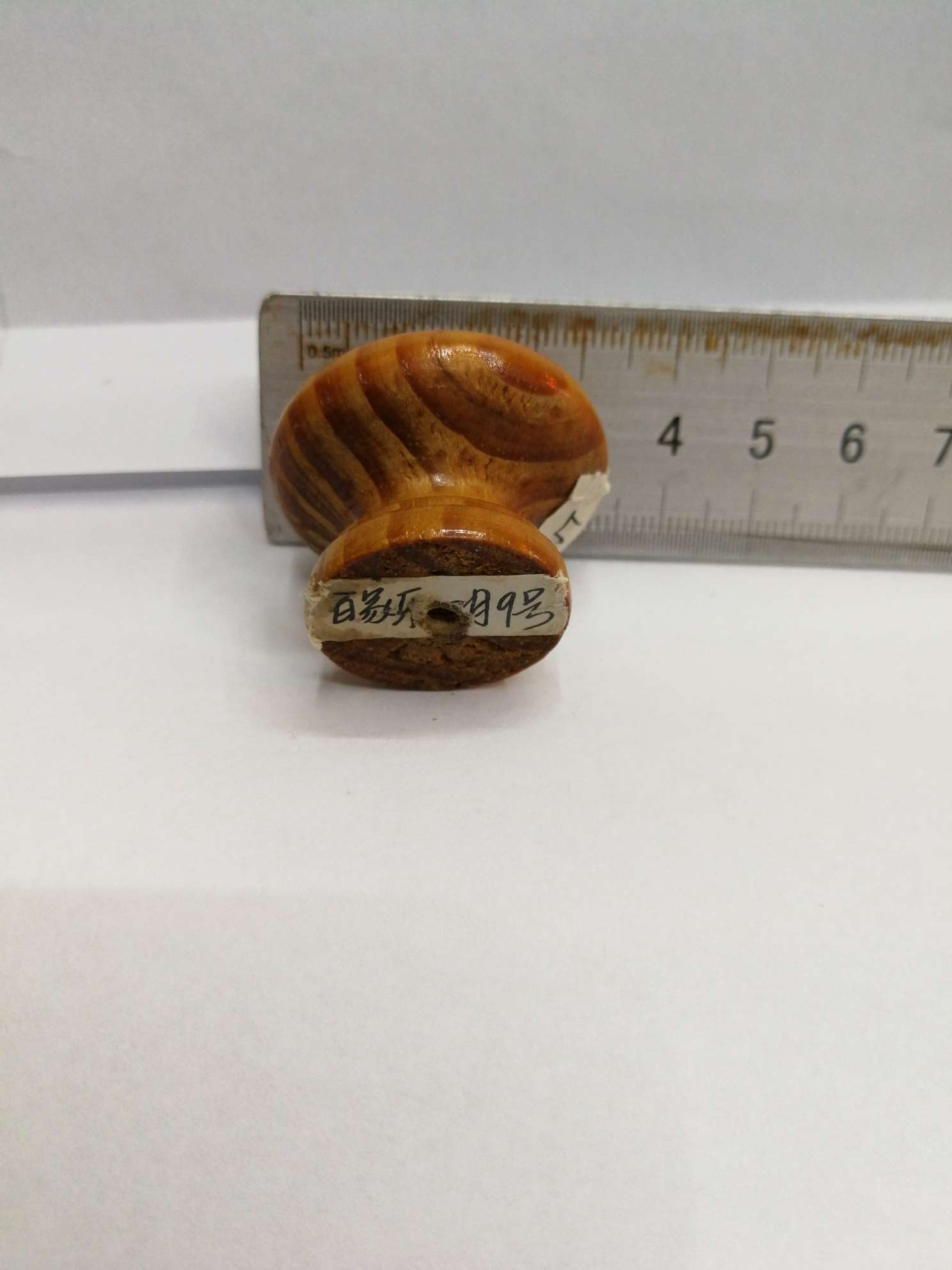 سحب الفطر المصنوع من الصنوبر بنسبة 3.3 detail image 5