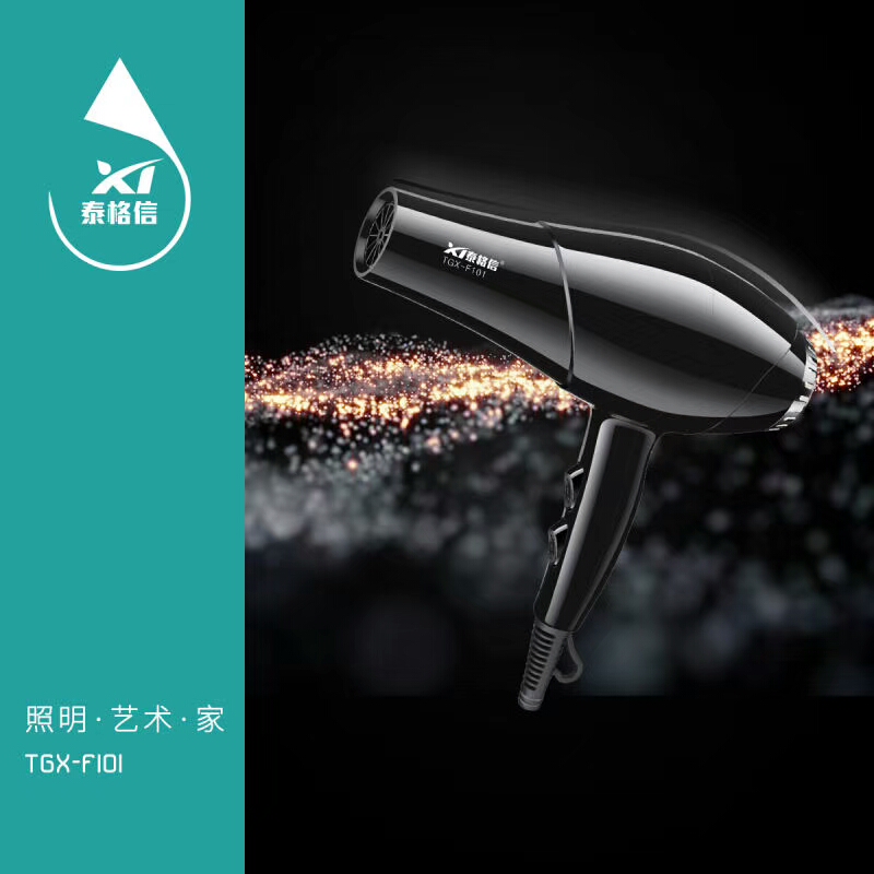 泰格信大功率吹风机TGⅩ—F101