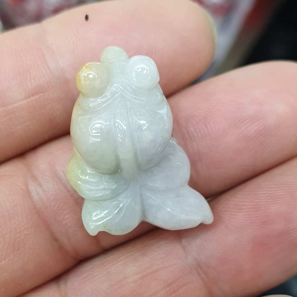 金鱼