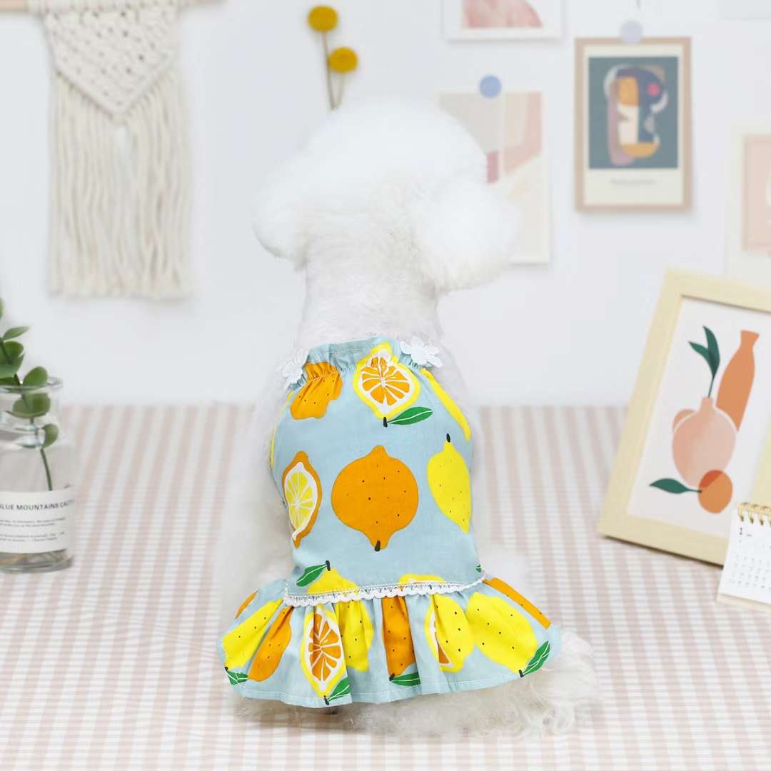 宠物用品！夏装开始打折啦！凉爽的美衣带给你炎热的夏季一片蓝天！详情3