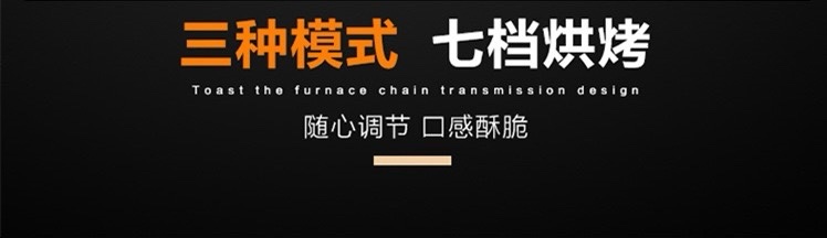 Chain-type multitype furnace 150 pic 6