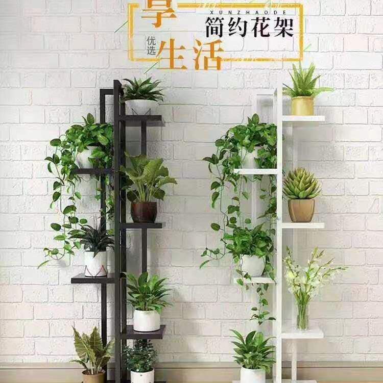 纲木六层
