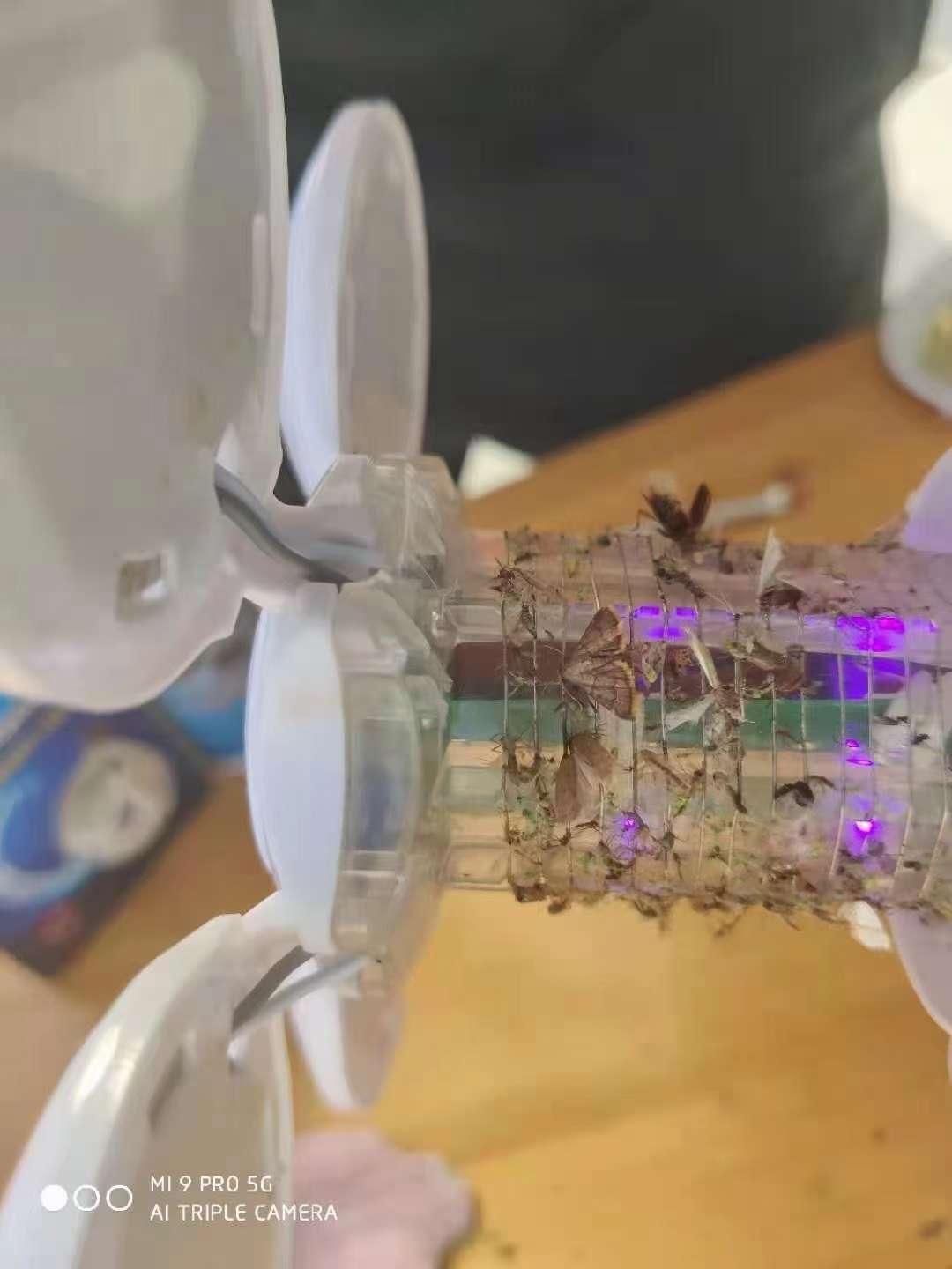 折叠足球灭蚊灯E27螺纹接线室内LED白光照明电灯泡紫光诱蚊电击灯产品图