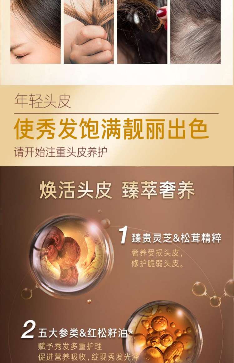 Black Lyo Korean Shampoo and Conditioner Set, Reishi Ginseng Revitalizes scalp and hair detail image 4