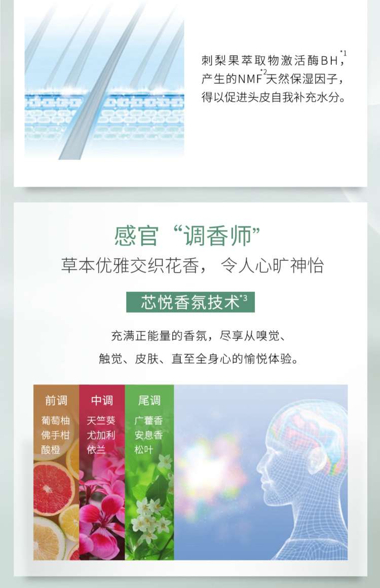 资生堂洗发水芳氛头皮护理补水保湿洗发露无硅油500ml详情6