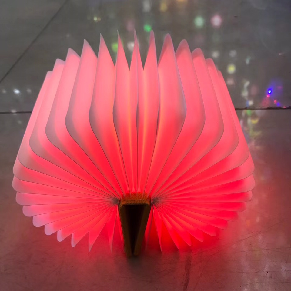 Book Lamp 228