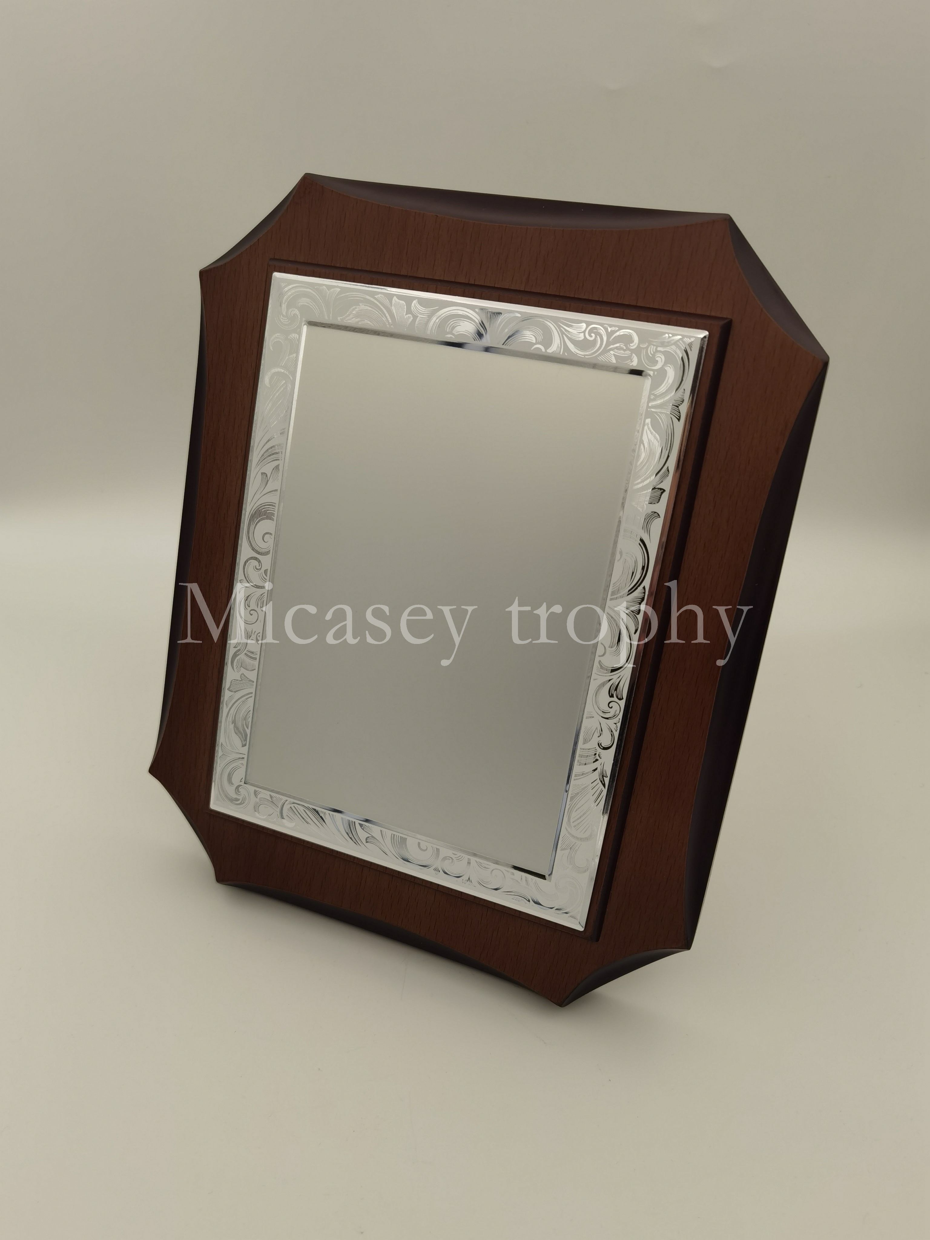 Медаль за отвагу, медаль за отвагу, серебряная медаль Specification image