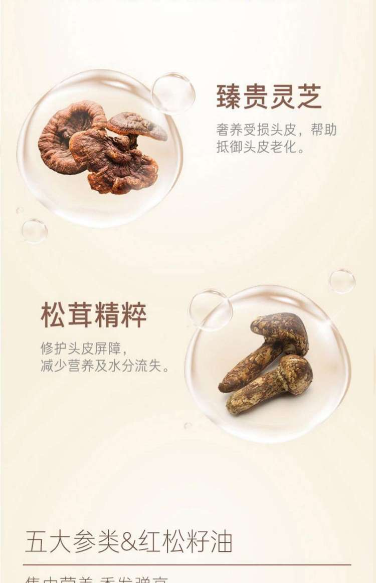Hei Lu Zhen Can Revitalize and Upgrade Shampoo to Improve frizz, 400ml Shampoo Fragrance detail image 2