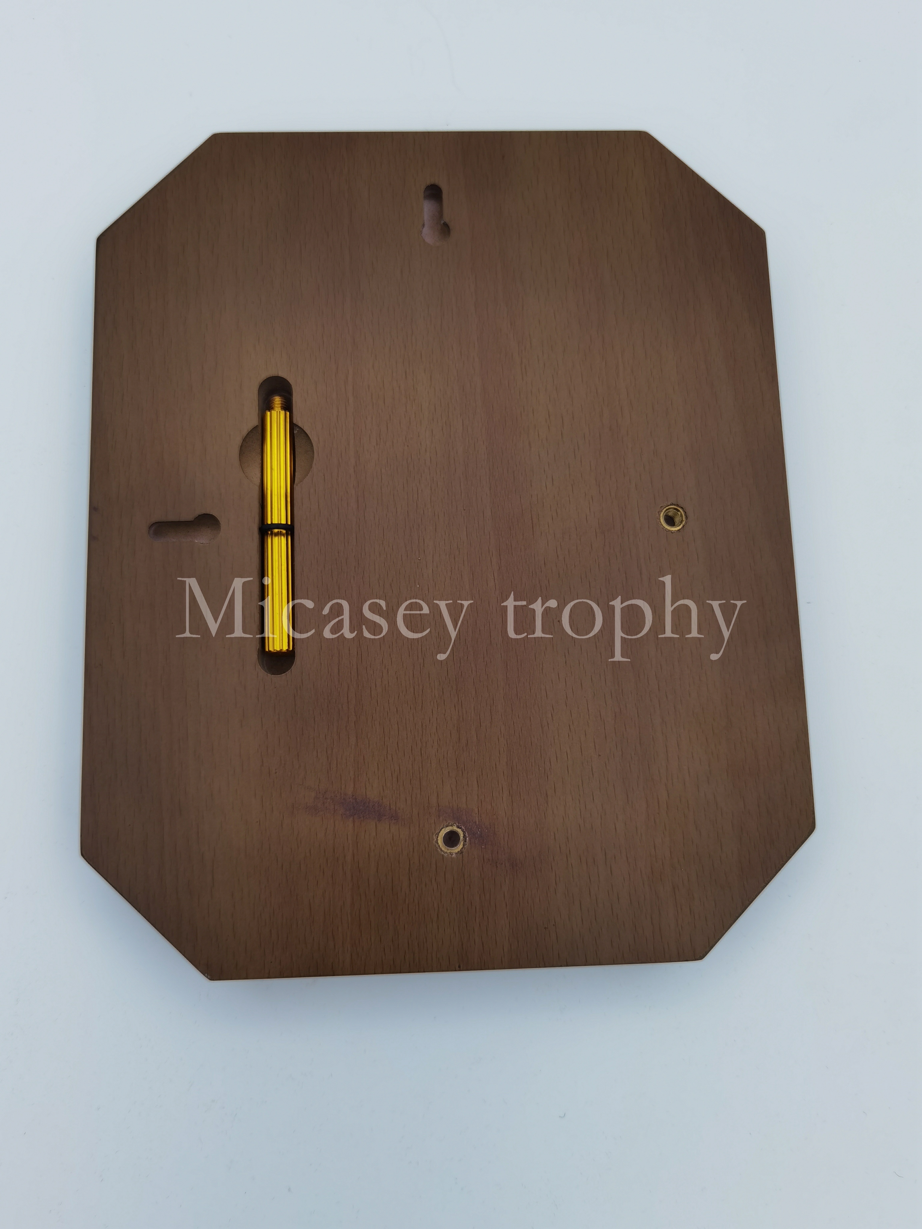 Медаль за деревянную медаль в металлической оправе Item Picture