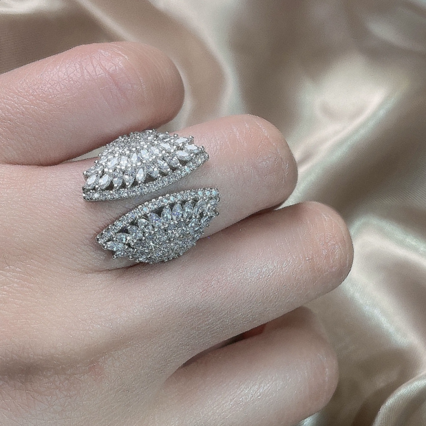 Full diamond niche light luxury fan zircon ring ring