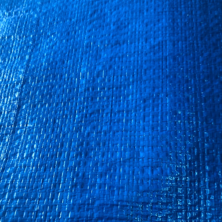 PE laminated fabric
