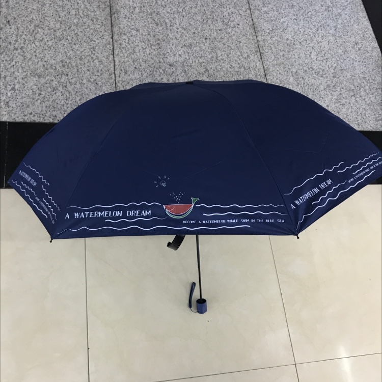 学生伞小清新风格时尚伞铅笔伞白底实物图