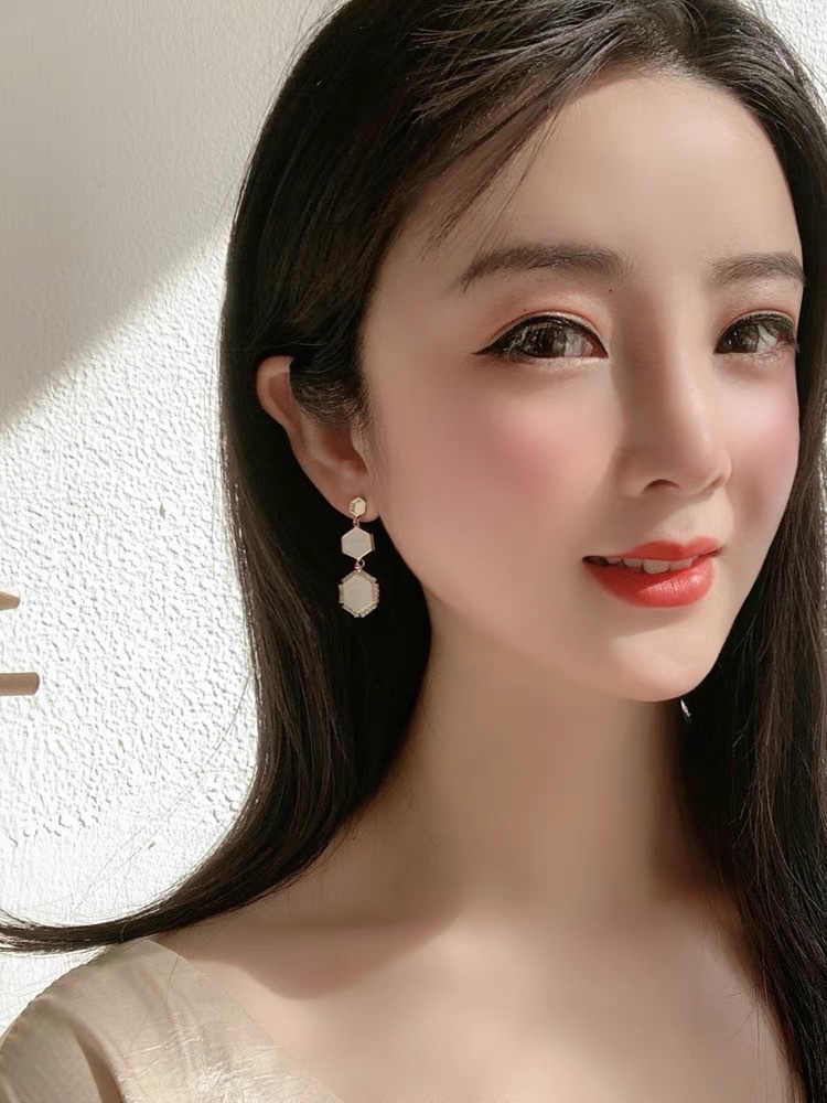 New trendy Korean-style geometric earrings for women, long autumn and winter earrings in 2021 Specification image