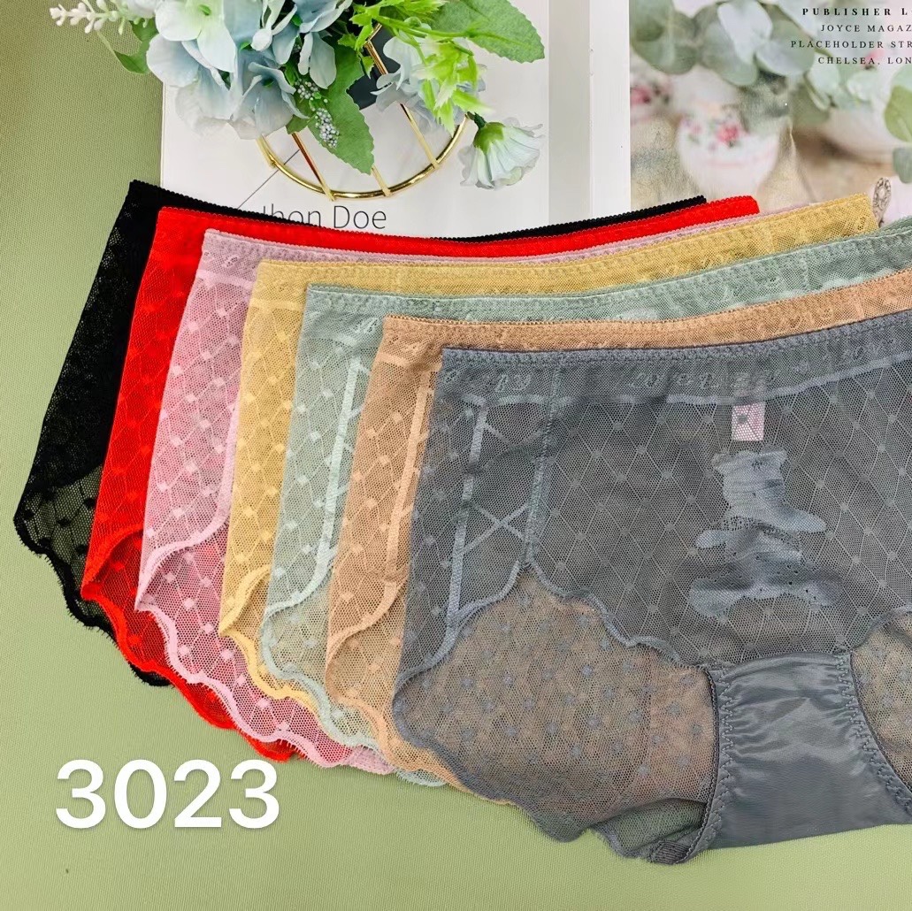 3023 Lace panties for women