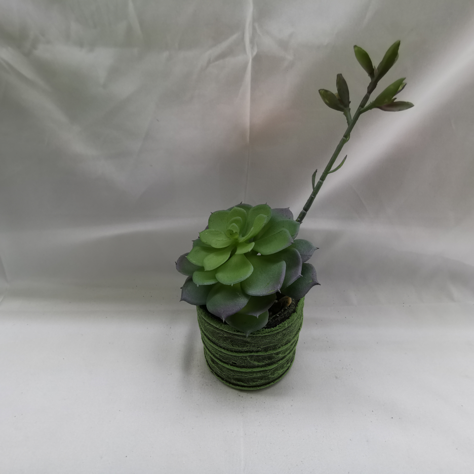 多肉240盆景绿植仿真花假花客厅卧室装饰花绿植盆栽盆景摆设创意摆件装饰品塑料花仿真盆景盆栽
