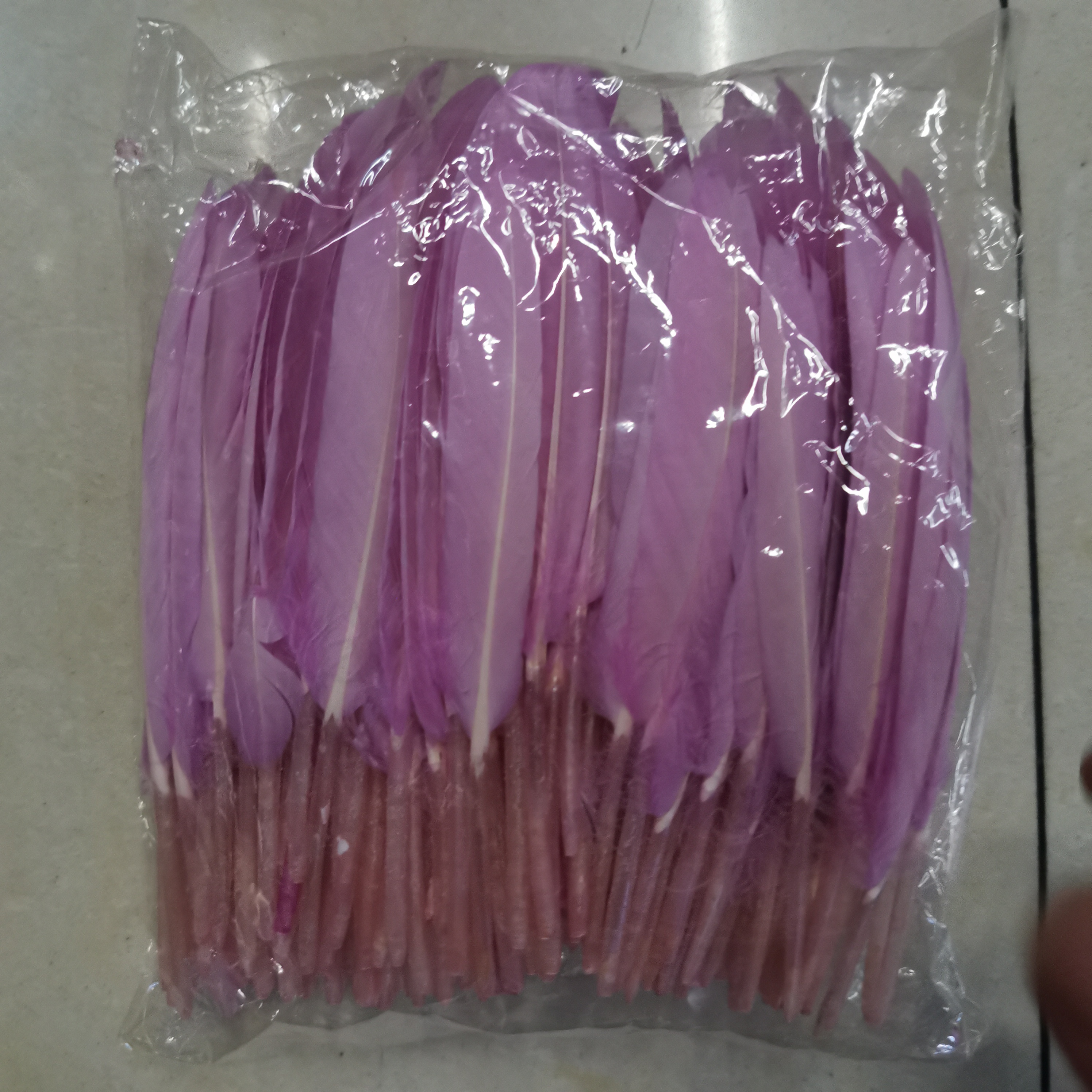 直刀浅紫红