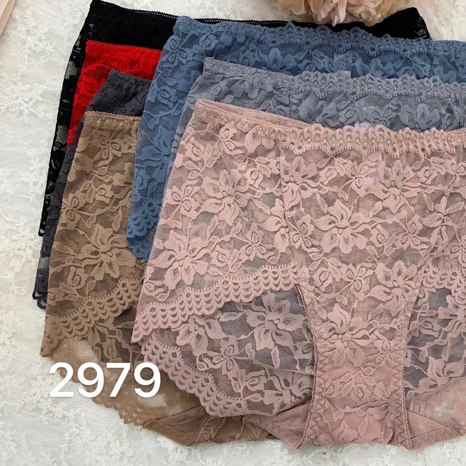 2979女士精品内裤
