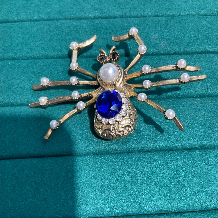 Spider brooch